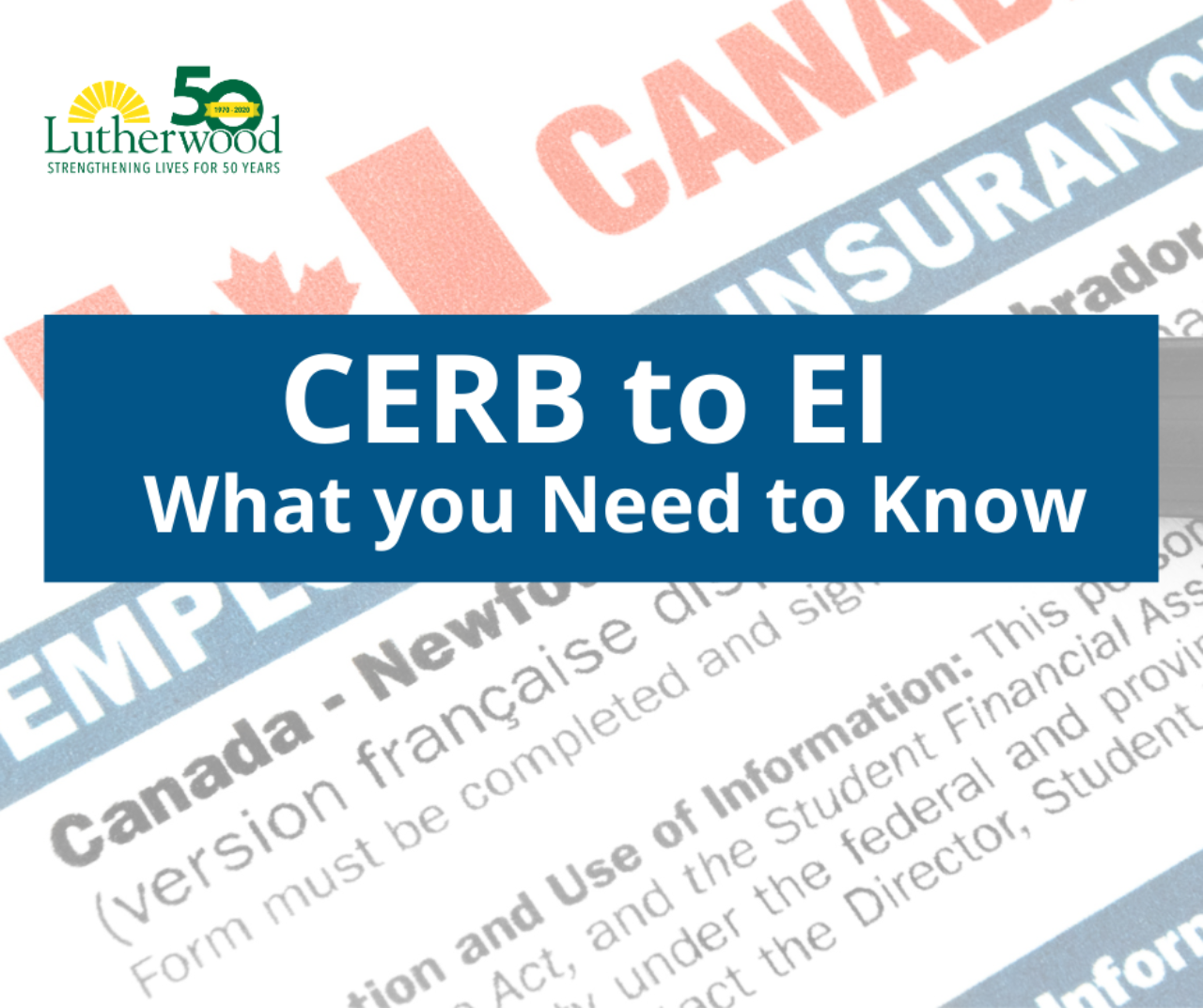 Cerb To Ei – What You Need To Know