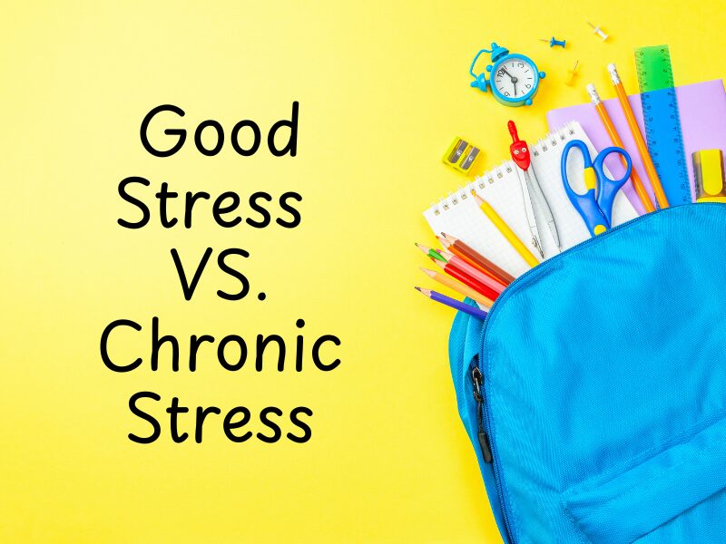 Back to school stress and how to cope