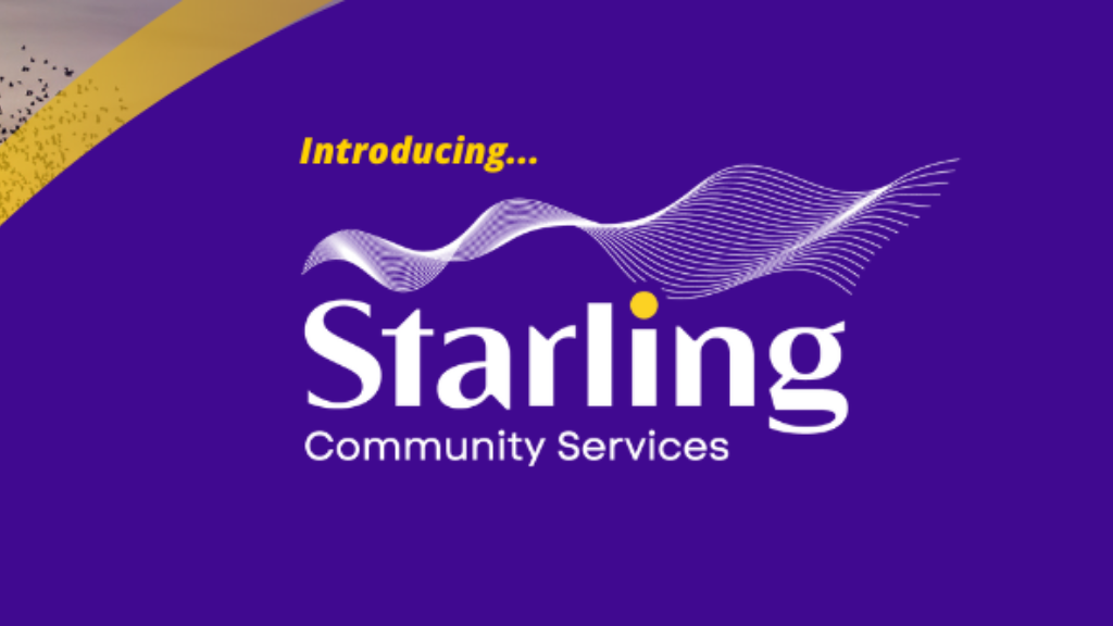 Starling Banner Image